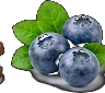 Blueberries