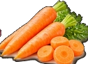 Carrots