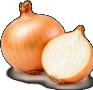 Onions & Garlic (Allium Family)